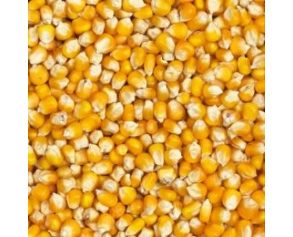 Кукуруза цельная 1 кг