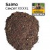 Прикормка Salmo Секрет XXXXL 1кг, рецепт Нормунда Грабовскиса
